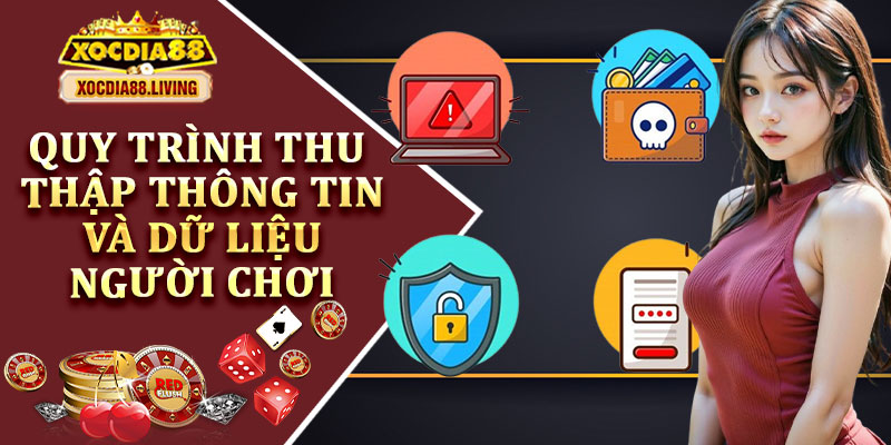 Quy Trình Thu Thập Thông Tin và Dữ Liệu Người Chơi